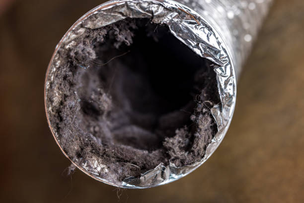 Best Affordable HVAC Duct Cleaning  in Columbus, NC