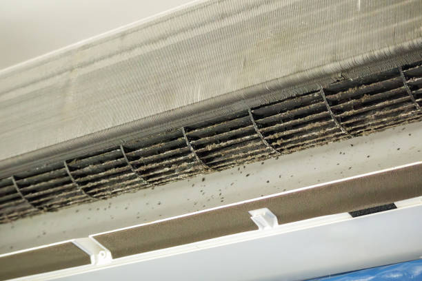 Best Professional Duct Cleaning Services  in Columbus, NC